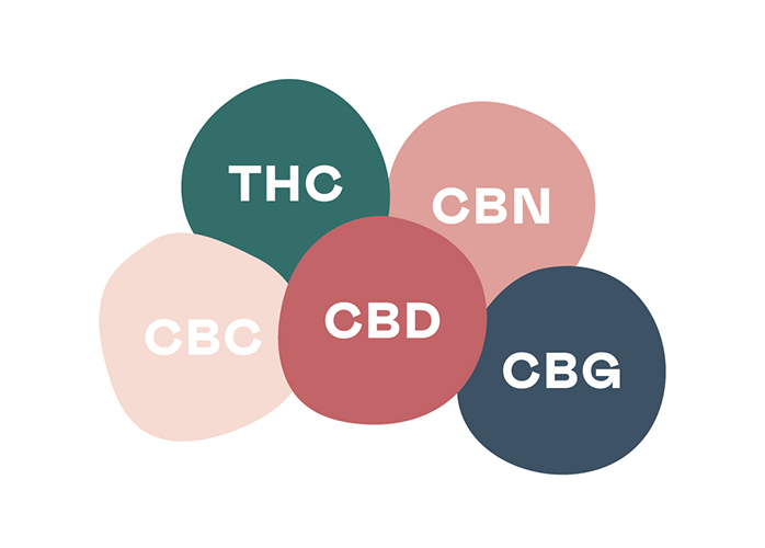 Difference between CBD isolate oil and full spectrum oils